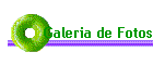 Galeria de Fotos