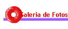 Galeria de Fotos